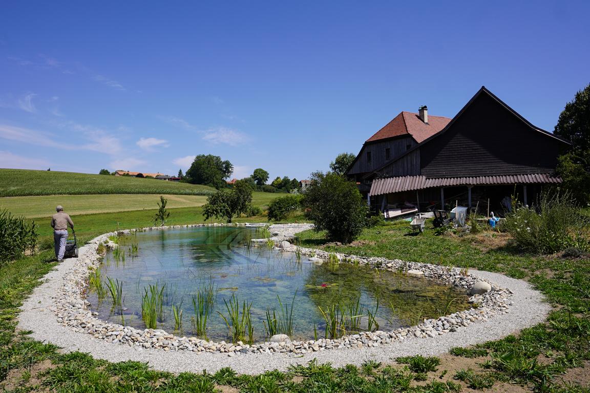 Naturpool Kt Fribourg